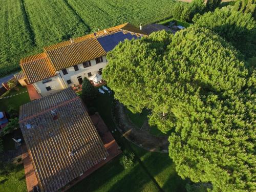 an overhead view of a large house with trees at Podere Magnolia in Pisa