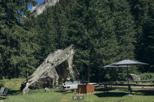 a fallen tree with a bench and an umbrella at Berghotel Gasterntal in Kandersteg