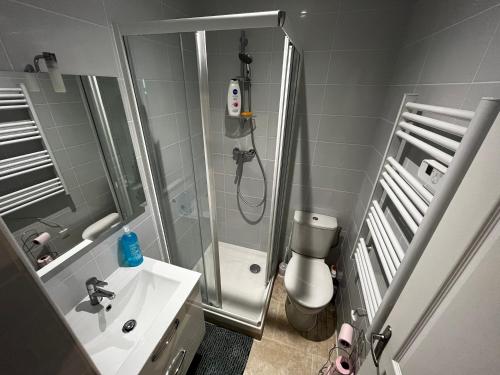 W łazience znajduje się prysznic, umywalka i toaleta. w obiekcie Magnifique F2 aéroport d Orly w mieście Paray-Vieille-Poste
