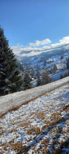 a snow covered field with trees on a hill at Cabana Corbilor The Raven's Hut in Vatra Dornei