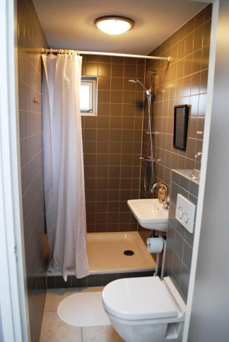 een badkamer met een toilet, een wastafel en een douche bij De ZeeuwSter in Burgh Haamstede