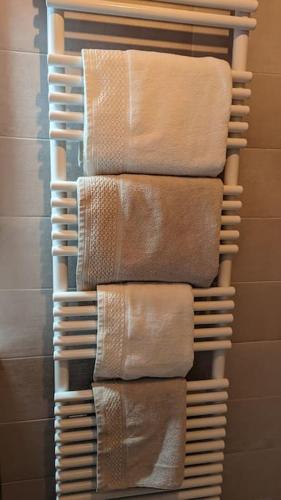 - une rangée de serviettes brunes sur un portant dans la salle de bains dans l'établissement Appartement Chez Mar'Tine, à Niederbronn-les-Bains