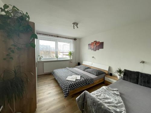 a bedroom with two beds and a window at Friendly house in Bořetice in Bořetice