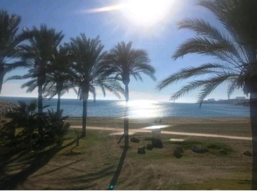 vistas a una playa con palmeras y al océano en Bonito estudio, Torremolinos, COSTA DEL SOL, en Torremolinos