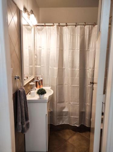 y baño con cortina de ducha y lavamanos. en Luminoso, céntrico y a metros del mar en Mar del Plata