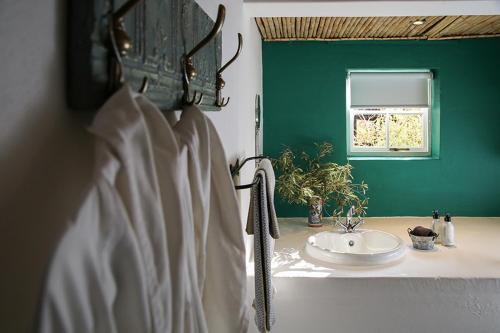 a bathroom with a sink and a green wall at Dennehof Karoo Guesthouse in Prince Albert