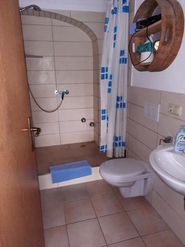 a bathroom with a shower and a toilet and a sink at Ferienhof Mühlthal in Edling