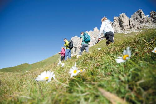 a group of people walking up a hill with flowers at Kedul Lodge in Santa Cristina in Val Gardena