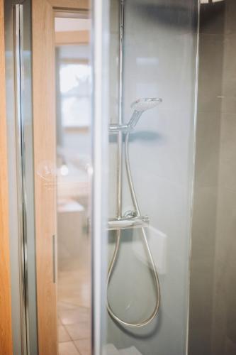 a shower with a hose hanging on a glass door at Appartement Stern Dagmar in Neustift im Stubaital
