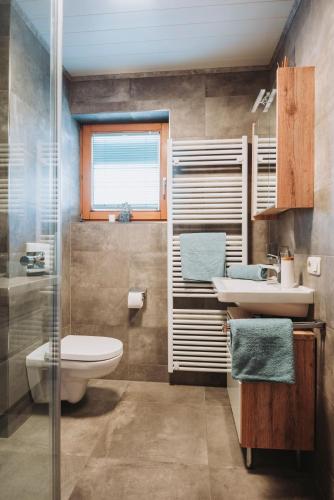 a bathroom with a toilet and a sink and a shower at Appartement Stern Dagmar in Neustift im Stubaital