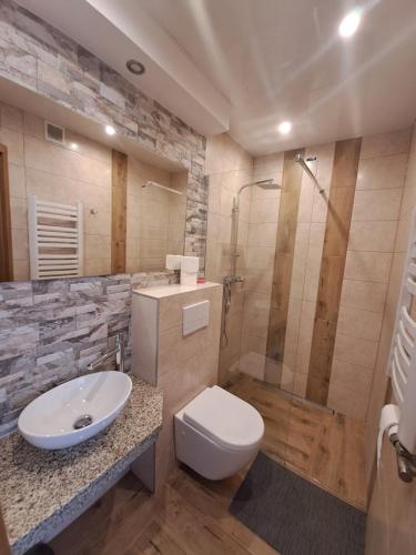 a bathroom with a toilet and a sink and a shower at Willa Grand Krzesanica in Kościelisko
