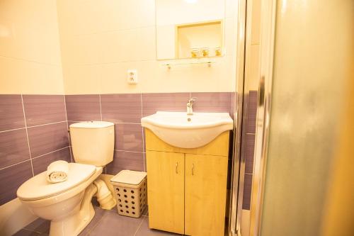 a bathroom with a toilet and a sink at Pension v parku Český Šternberk in Český Šternberk