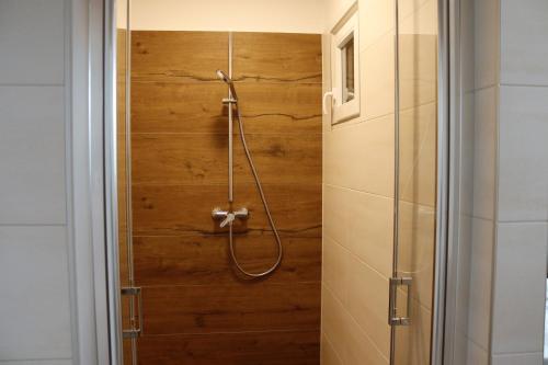 a shower in a bathroom with a wooden wall at Appartement ROSalia 
