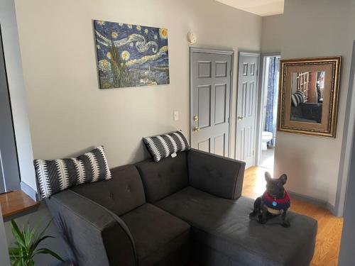 a living room with a black couch with a dog sitting on it at Wonderful 2 Bedroom in the heart of Astoria in Steinway