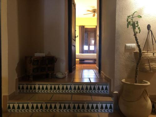 un pasillo con una planta en un jarrón en las escaleras en Casa Les Olives - Adults Only, en Benichembla