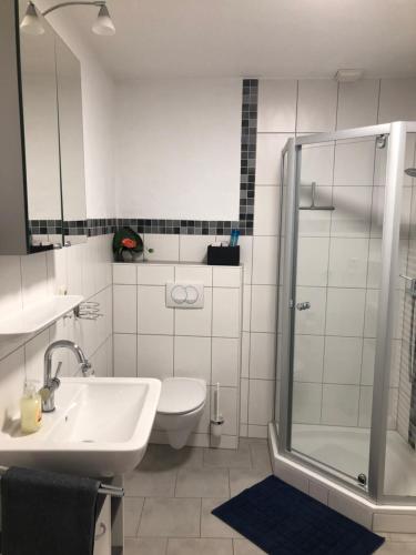 a bathroom with a shower and a sink and a toilet at Ferienwohnung Dunja in Bullay