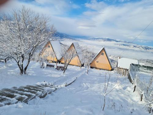 a group of lodges covered in snow at Cez A-Frame in Petroşani