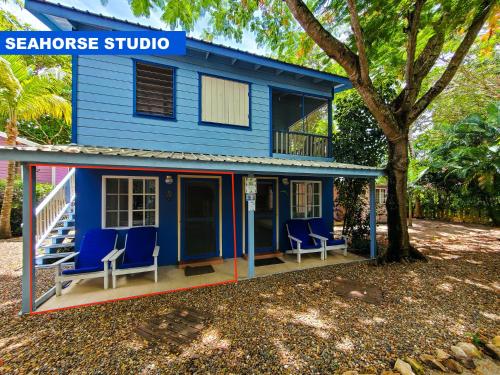 a blue house with two chairs and a tree at Placencia Villas in Placencia Village