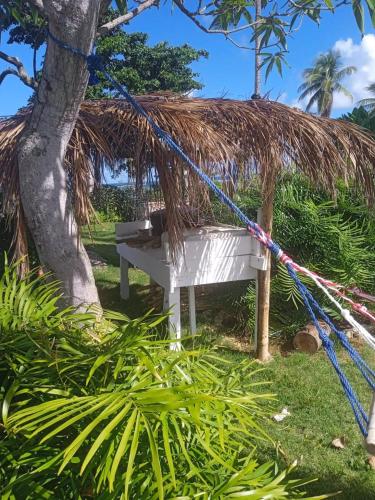 a thatch roofed hut with a bench in the grass at Arena Oceanview Hotel & La Terraza Restaurant in Las Galeras