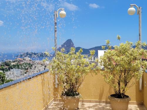 two potted trees on a balcony with a view of the city at Santo Mirante Hostel in Rio de Janeiro