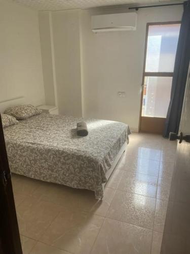 Algemesí的住宿－Appartement Célia，白色的卧室设有床和窗户