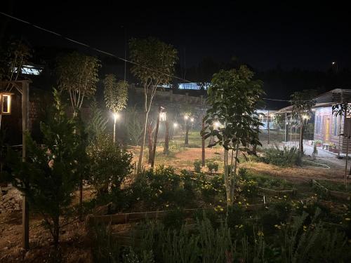 a garden at night with lights in the background at Vườn Nhà Bông in Da Lat