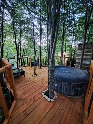 a wooden deck with a tree and a tree trunk at Cabaña y Domos El Pescador Coyhaique in El Blanco