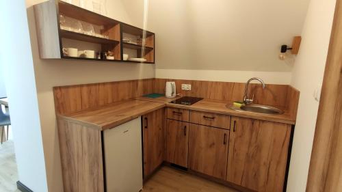 a small kitchen with wooden cabinets and a sink at Willa Magdalena in Sromowce Niżne