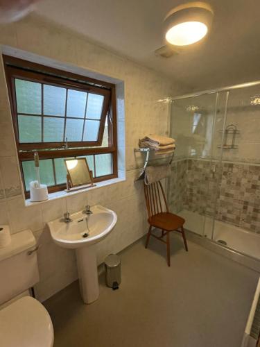 a bathroom with a sink and a toilet and a shower at The Slates Apartments - Fuchsia & Orchard Apartments in Irvinestown