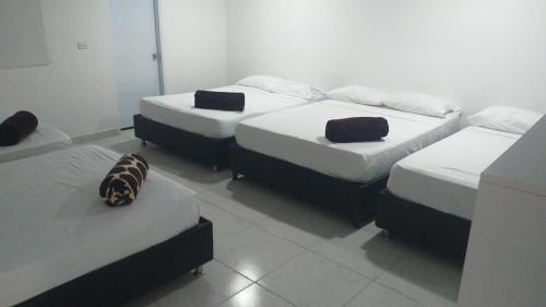 a group of four beds in a room at Finca San José los Naranjos in Santa Marta