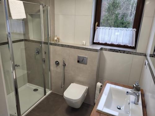 een badkamer met een douche, een toilet en een wastafel bij Domek na Cedrowej in Bierna