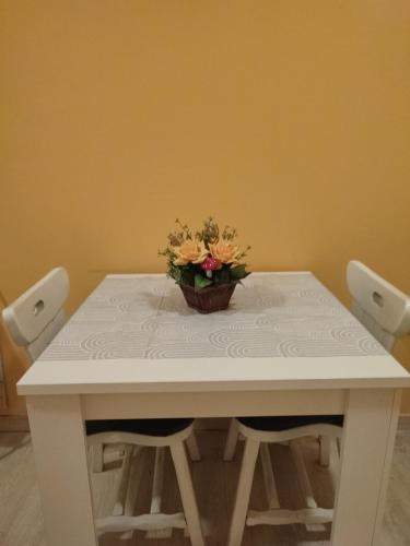 a white table with a potted plant sitting on it at Apartman Lara in Kruševac