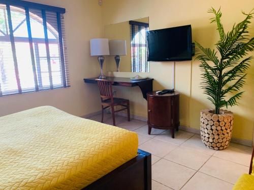 1 dormitorio con 1 cama, escritorio y TV en Casa Opal en Palm-Eagle Beach