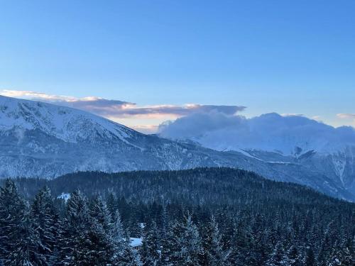 una cordillera cubierta de nieve con árboles en el primer plano en Appartement pieds des pistes, 6p, piscine ouverte pendant l'ouverture de la station, vue imprenable, Chamrousse en Chamrousse