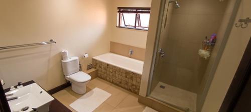 een badkamer met een douche, een toilet en een wastafel bij The Zen Den in Durban