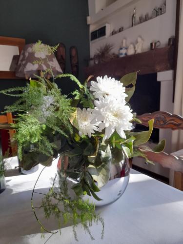ESTANCIA URBANA – Photos 2