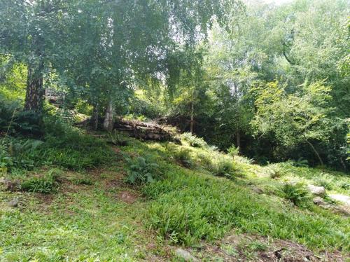 Naturlandskabet i nærheden af lejligheden