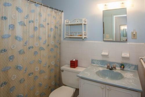 een badkamer met een toilet, een wastafel en een spiegel bij AMERICAN PIE home in Jekyll Island