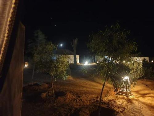 two trees in a yard at night with lights at Khadija Desert Camp in Merzouga