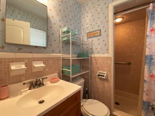 a bathroom with a sink and a toilet and a mirror at HOLLAND HOUSE DUPLEX Duplex in Jekyll Island
