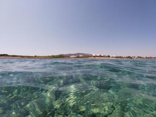 a view of the water with a beach in the background at Seashore Beachfront Villa in Lachania