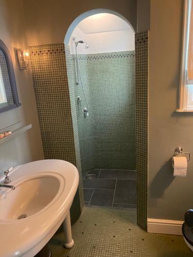 W łazience znajduje się prysznic i umywalka. w obiekcie De Schuilhoek Private Guesthouse w mieście Blaricum