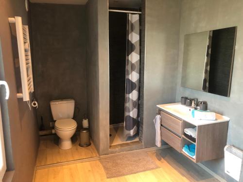 een badkamer met een toilet, een wastafel en een spiegel bij Maison cosy in Remicourt