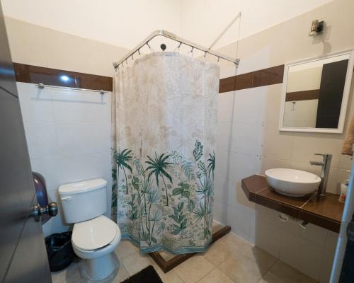 Nido Colibrí - Private Rooms and hostel Dorms in Remate de Paseo Montejoにあるバスルーム