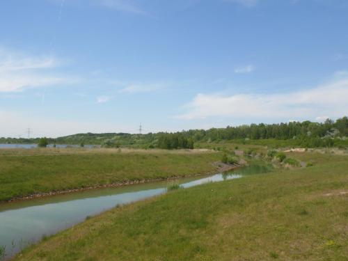 a river in the middle of a field at Ferienwohnungen in Kahnsdorf - Hainer See - südlich von Leipzig - in ruhiger Lage in Neukieritzsch