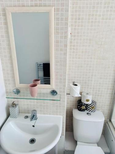 a bathroom with a sink and a toilet and a mirror at Aylesbury Apartment for Contractors and Holidays - FREE Parking for cars and vans in Aylesbury
