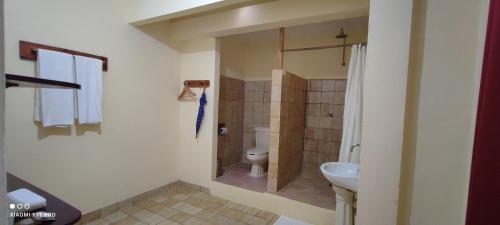 een badkamer met een douche, een toilet en een wastafel bij Casa Hadassa La Cañada in Palenque