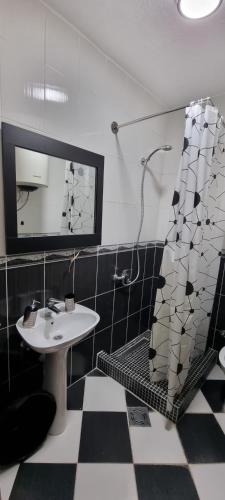 a bathroom with a sink and a shower at Deluxe Apartmani Vila Pejovic Sutomore in Sutomore