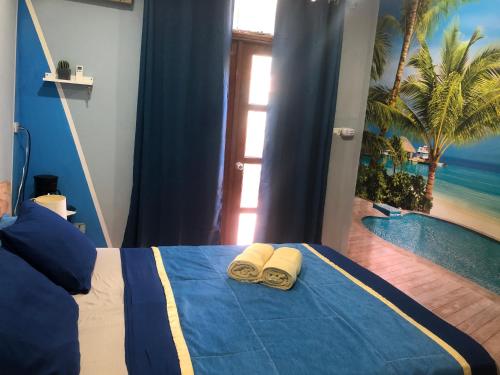 Toucan House – Photos 3