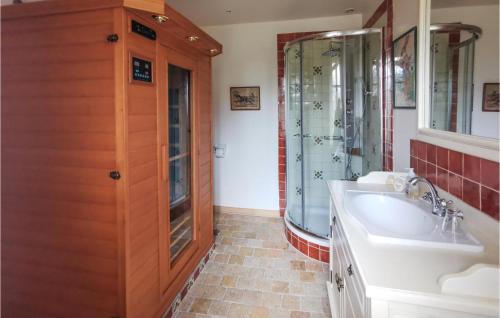a bathroom with a sink and a shower at Nice Home In Conflans Sur Anille in Conflans-sur-Anille